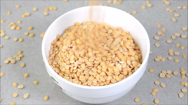 Filling pigeon pea also known as toor dal in a bowl