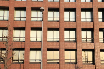 ブラウンのビルの窓