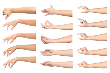 Set of woman hand isolated on white background.