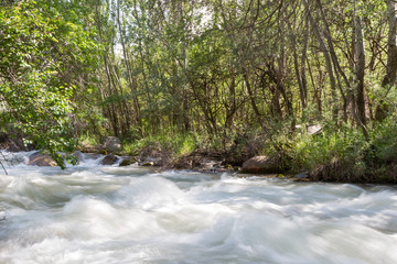 rapid flow of a river in a mountainous region