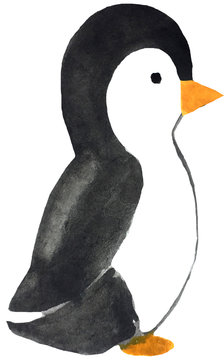 Funny cartoon penguin on a white background. watercolor hand drawing illustration for the design of posters, prints
