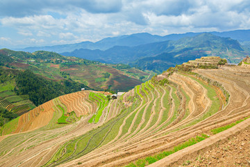 Terraced fields in Mu Cang Chai, Vietnam in the watering season.