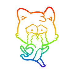 rainbow gradient line drawing cartoon crying cat