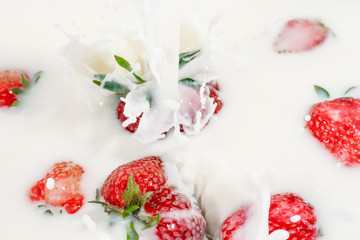 Red natural ripe strawberries falling into milk cream