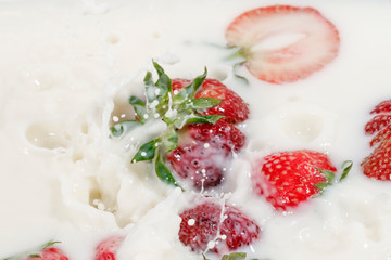 Red natural ripe strawberries falling into milk cream