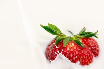Red natural ripe strawberries falling into milk cream