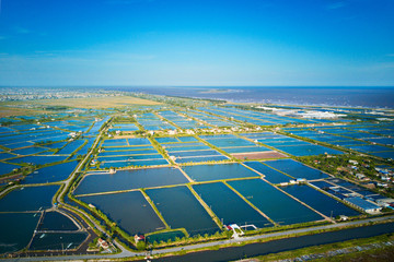 Aerial image of large shrimp breeding farms in the coastal region of Giao Thuy, Vietnam.