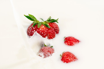 Red natural ripe strawberries falling into milk cream