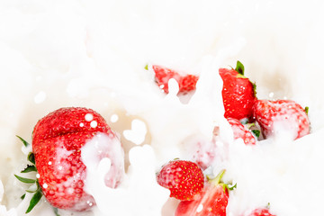 Red natural ripe strawberries falling into milk cream