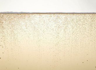 Champagne gold bubbles