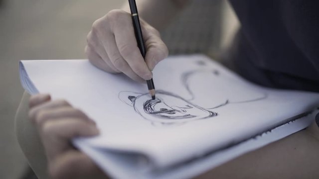 Woman is drawing with pencil sketch of raccoon. Artist is working on a project
