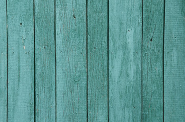 old green color wood texture background
