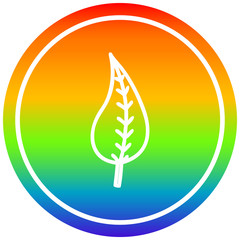 natural leaf circular in rainbow spectrum