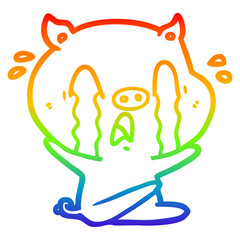rainbow gradient line drawing crying pig cartoon