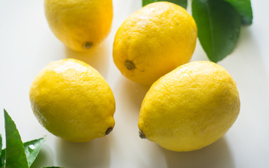 Yellw lemon on a white background