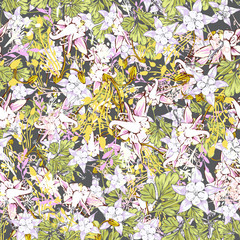 Line art wildflower for fabric design. Petal meaningful wild blossom. Curly pattern twig