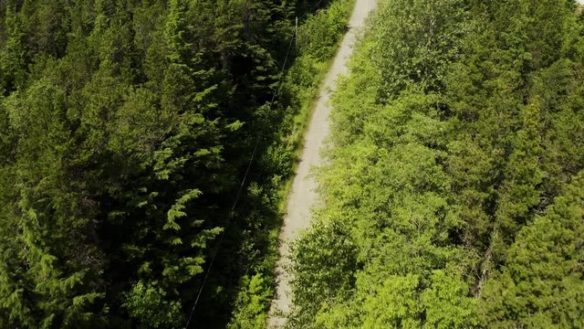 A cinematic, moving view of a dirt road, shot in Terrace, B.C. Canada during the summer months on a sunny day.