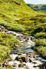 River stream in mountains, Norway.