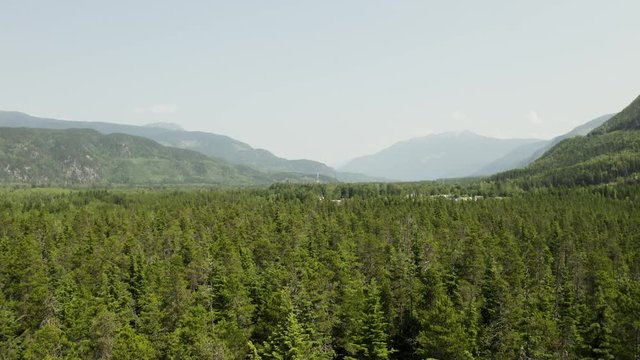 An aerial, cinematic, moving view of the surrounding forest, shot in Terrace, B.C. Canada during the summer months on a sunny day.