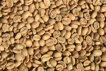 Close up of coffee beans for background                               