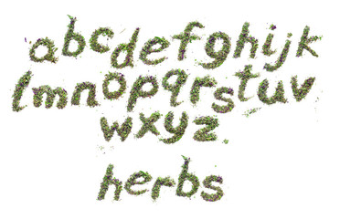 Green herbs english alphabet Herbal tea from dried