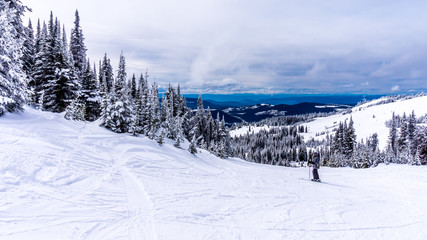 Senior woman skier skiing down the slopes in the high alpine ski area at Sun Peaks in the Shuswap Highlands of central British Columbia, Canada