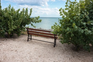 Naklejka na ściany i meble A bench in the park overlooking the sea.