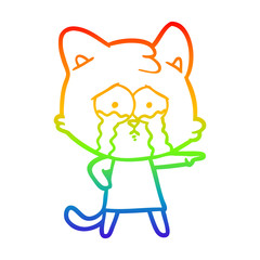 rainbow gradient line drawing cartoon crying cat