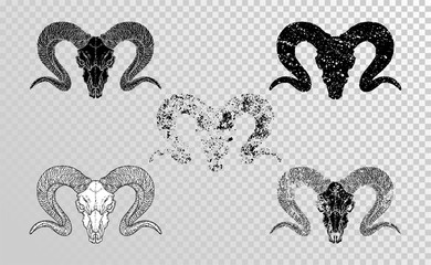 Vector set of hand drawn skulls wild ram with grunge elements in different versions on a transparent background. Monochrome.