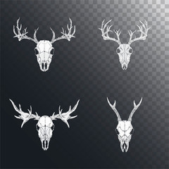 Vector set of hand drawn skulls of horned animals: roe deer, stag and moose on dark background.