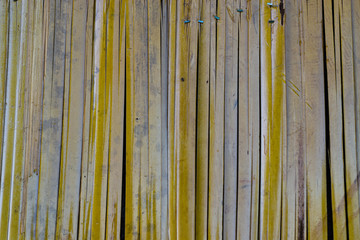 Dried bamboo wall for background, Bamboo texture