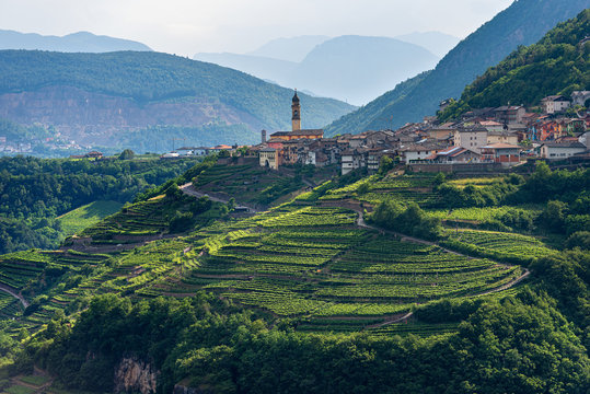 Small village of Faver, famous for wine production. Italian Alps, Cembra valley, Trento Province, Trentino Alto Adige, Italy, Europe