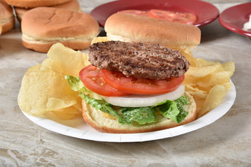 Hamburger on a picnic plate