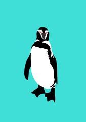 Obraz premium ペンギン