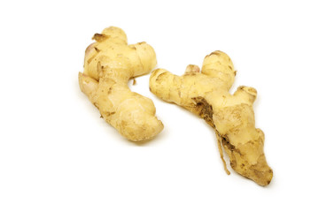 Raw ginger root isolate on white background. Ginger root originated as ground flora of tropical lowland forests in regions from the Indian. Widely used as a spice or a folk medicine.