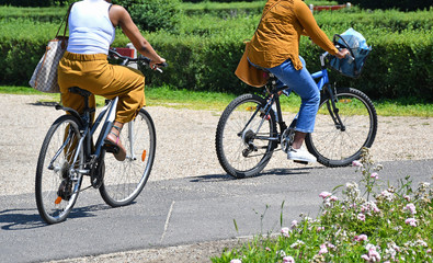 Women are riding on bicycles in the park