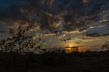 Sonnenuntergang in der Serengeti - Tansania