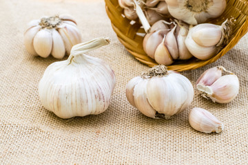 Fresh garlic
