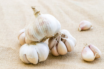 Fresh garlic