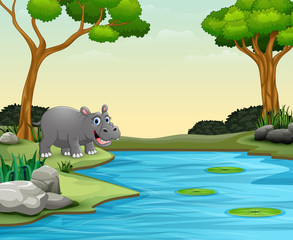 Animal hippo cartoon wants to swim in a lake