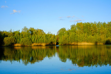 Reflection of trees and blue sky with some clouds in the water of a calm lake
