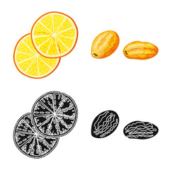 Vector design of food and raw sign. Collection of food and nature stock vector illustration.