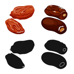 Vector illustration of food and raw sign. Collection of food and nature stock symbol for web.