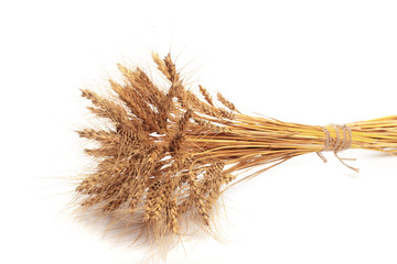 Wheat ears close up on white background .