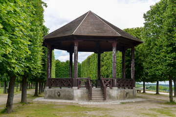 Tilleul à grandes feuilles, Tilia platyphyllos, Château de Saint Germain en Laye, 78, Yvelines