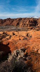 Red sandstone canyon and cactus landscape in Southern Utah 