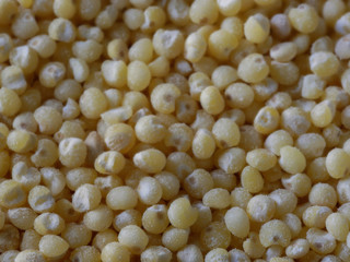 Macro Close-up of Millet Seeds, Food Background With Selected Focus