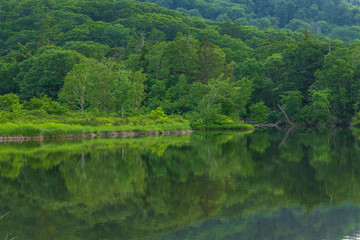 Fototapeta premium Towada Hachimantai National Park, Hachimantai