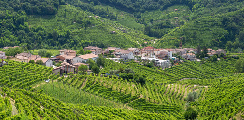 Fototapeta na wymiar Panorama of village of Santo Stefano surrounded by hills and vineyards