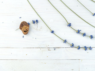 The smiling little man, object from artisanal art, graven from peach pit, good luck wish symbol, near the lavender twigs, laid in parallel rows on a white wooden table. Background with copy space